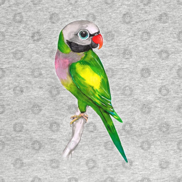 Moustached parakeet by Bwiselizzy